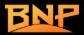 Логотип BNP
