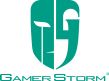 Логотип GamerStorm