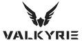Логотип Valkyrie